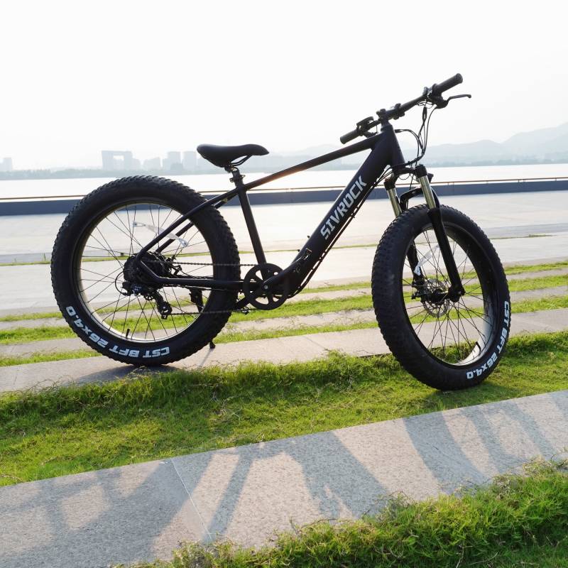 Pedalease electric mountain bike cheap 48v 1000w